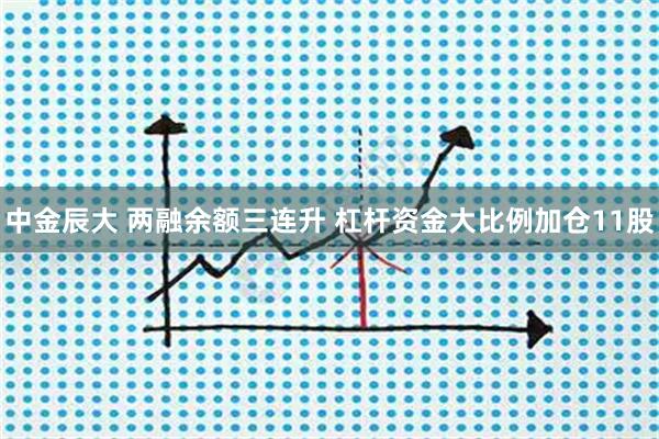 中金辰大 两融余额三连升 杠杆资金大比例加仓11股